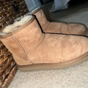 Mini Chestnut UGGs